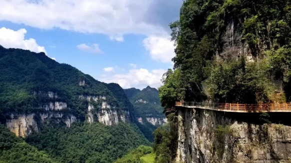 大方县油杉河景区春节期间旅游市场平稳有序-贵州网